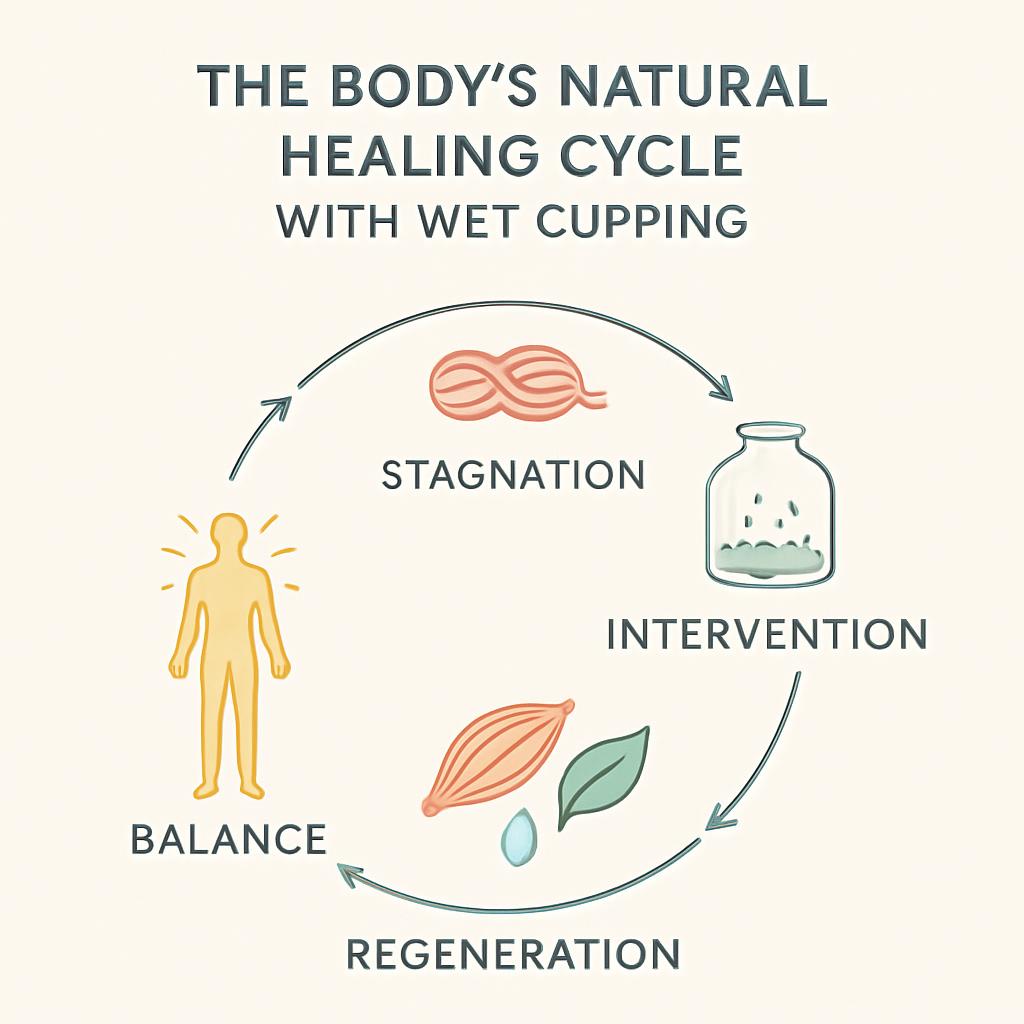 wet cupping support body's natural healing system
