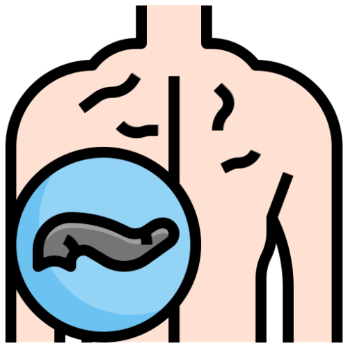 Why Wet Cupping Is Different from Bloodletting or Leech Therapy?